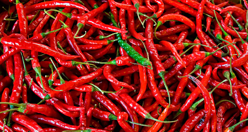 Hot peppers
(top10archives.com)