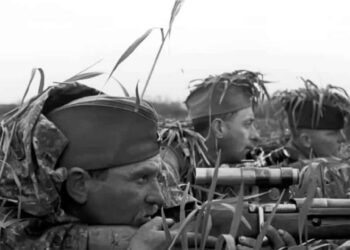 Top 10 Deadliest Snipers Of All Time 2022