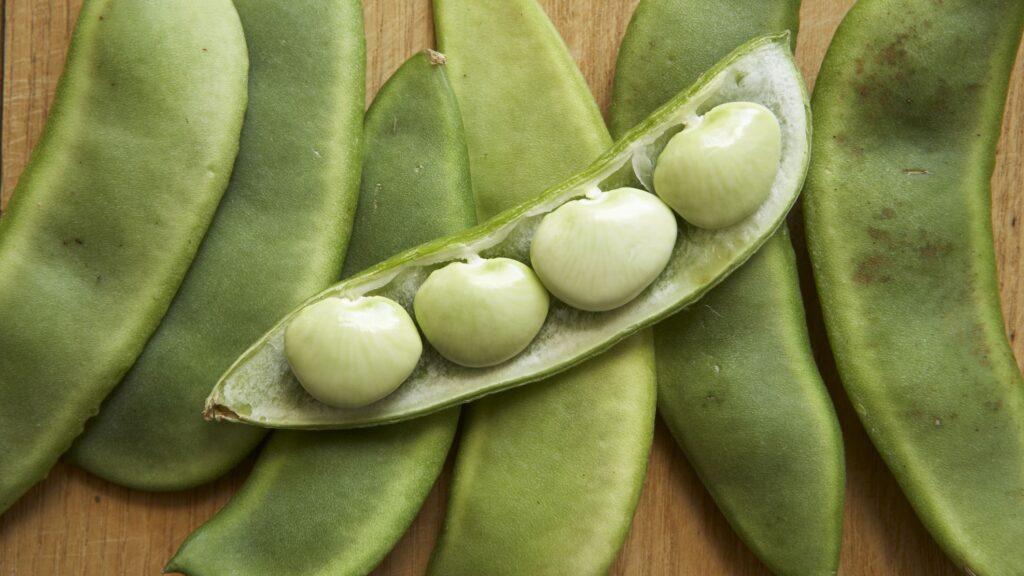 Lima beans most dangerous food (top10archives.com)