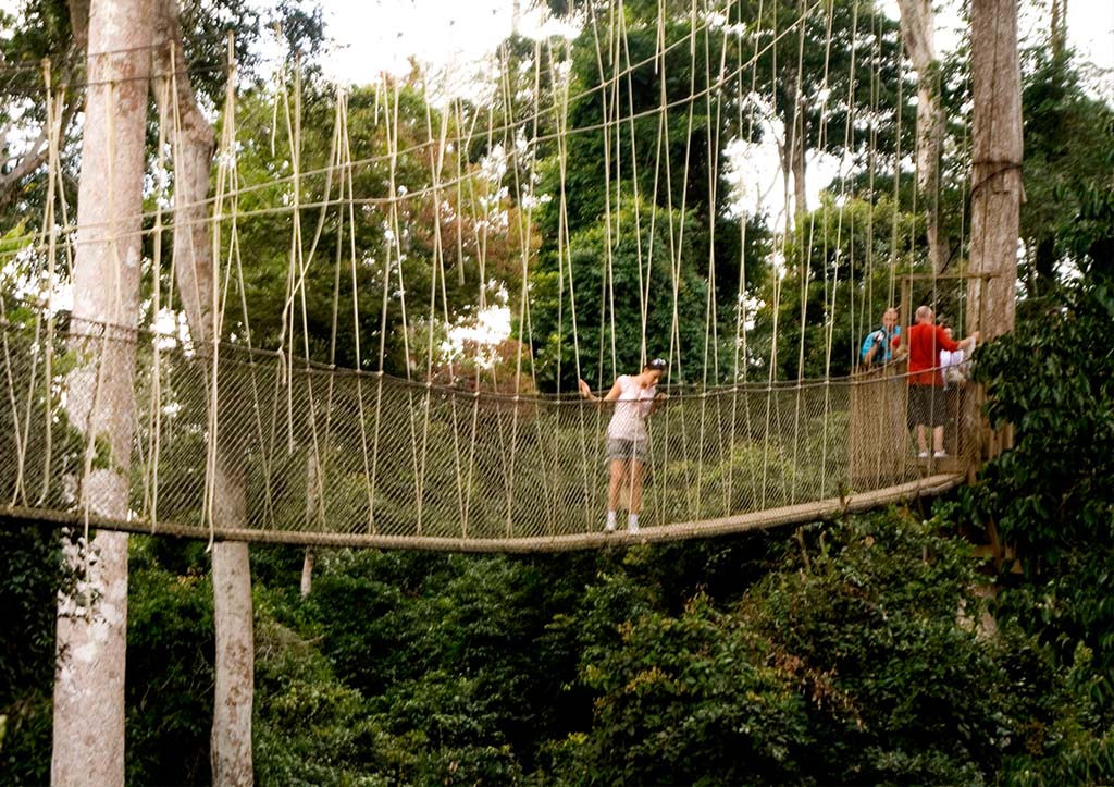 Kakum National Park, Top 10 Things That Make Ghana Famous (Top10archives.com)