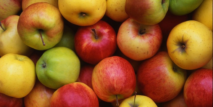 Apple Food Digestion (top10archives.com)