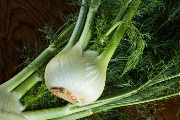 Fennel Food Digestion (top10archives.com)