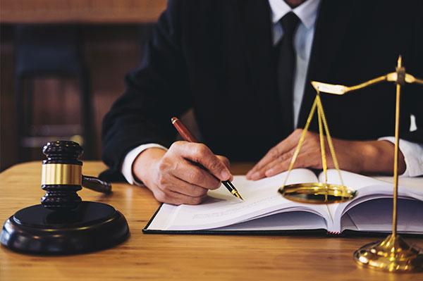 Bachelors in Law Best Courses To Study