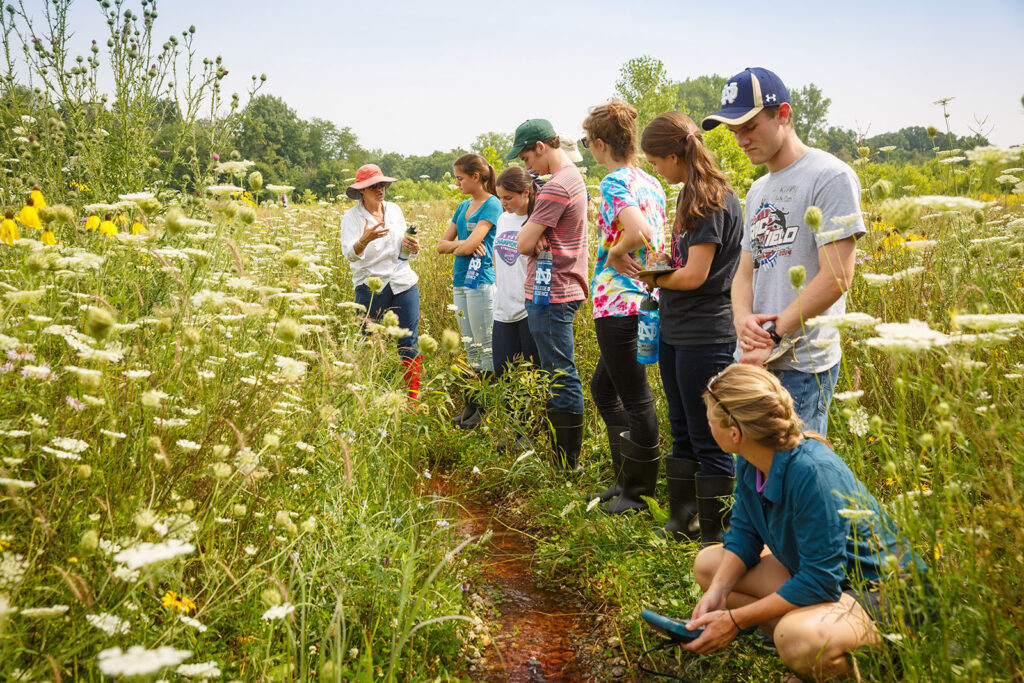 Bachelors in Environmental Sciences Best Courses To Study