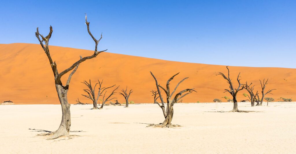 Deadvlei
(top10archives.com)