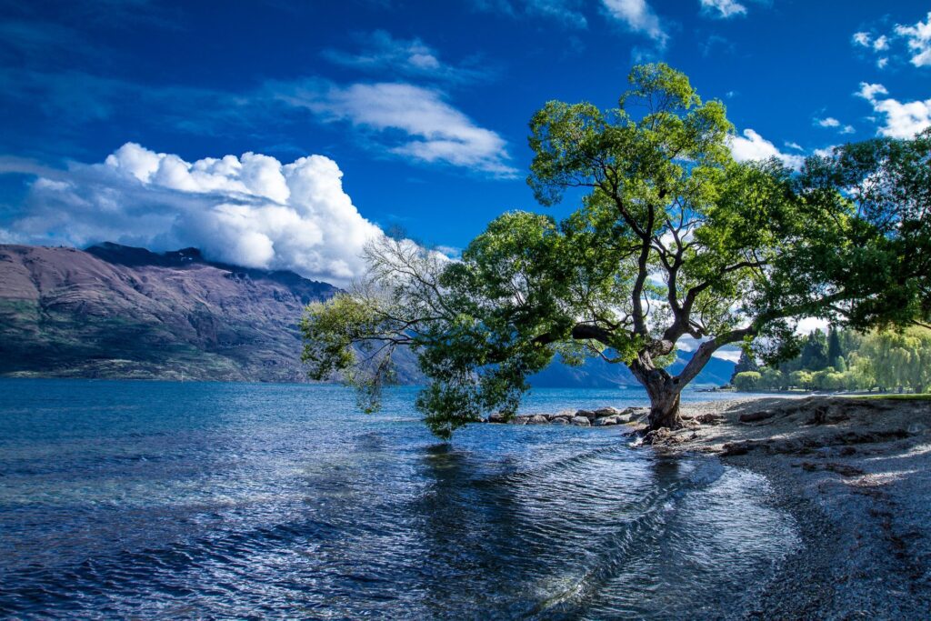 LAKE WAKATIPU, NEW ZEALAND Beautiful Lakes (top10archives.com)