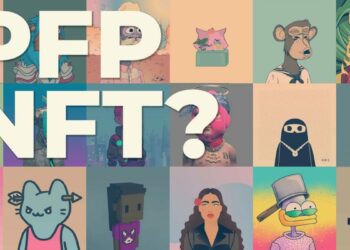 What are PFP NFT Collections?