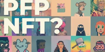 What are PFP NFT Collections?